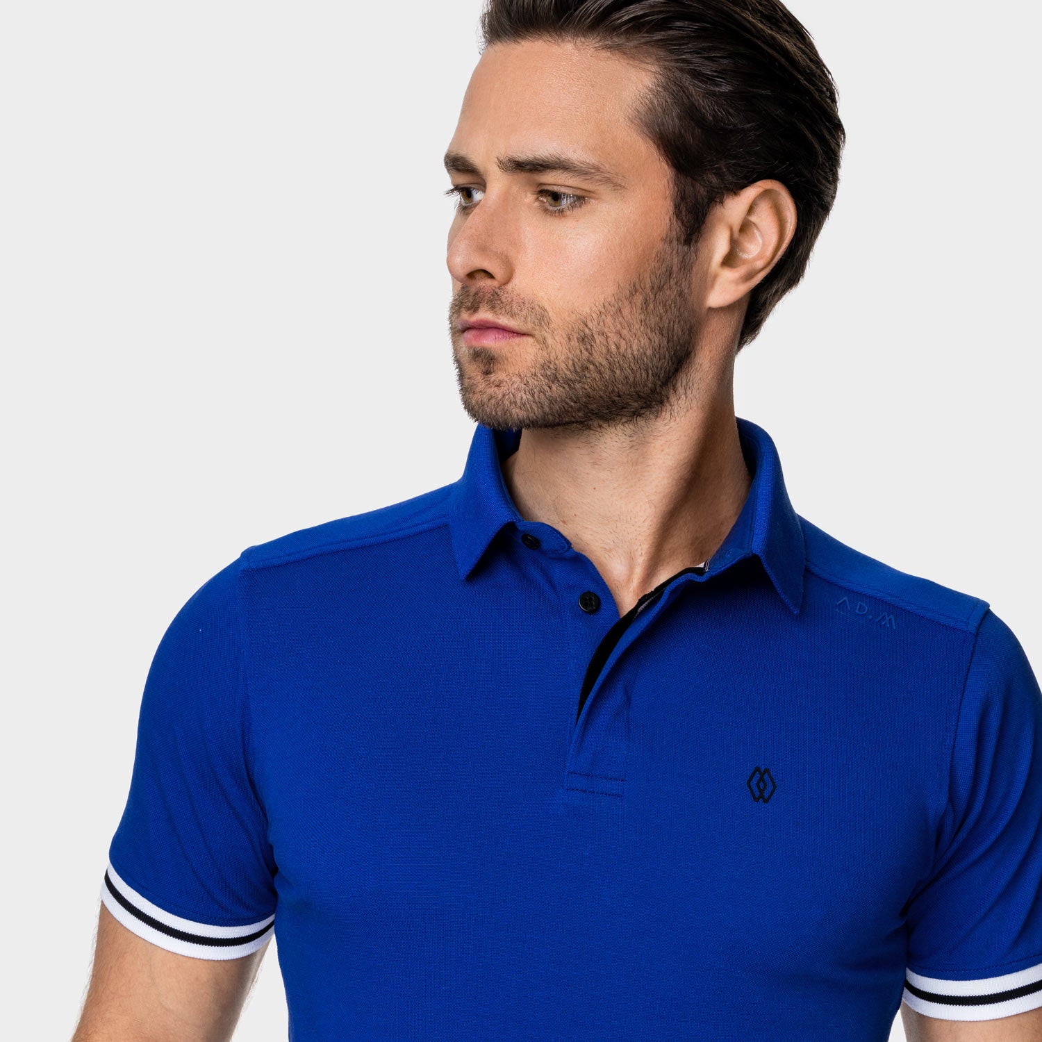 The Polo Classic Stripes