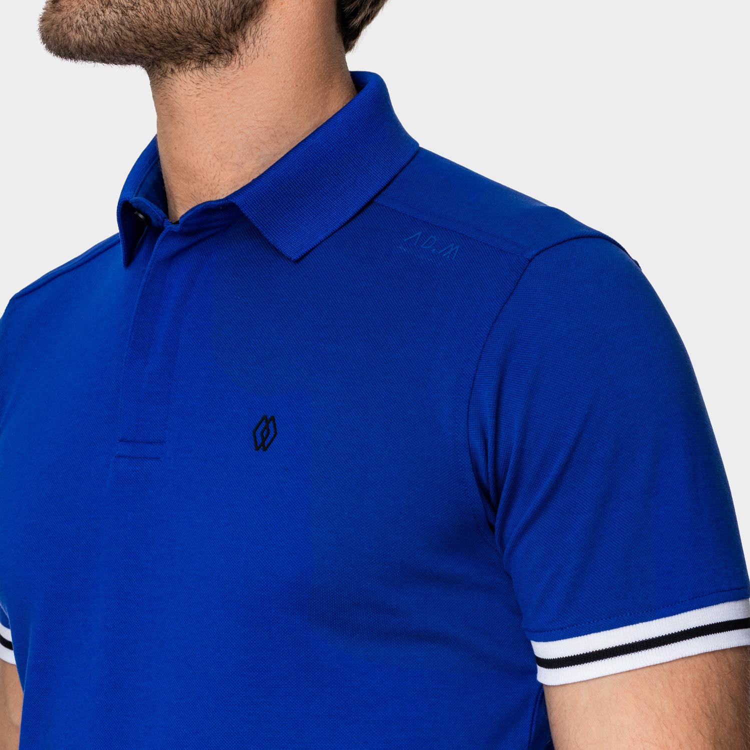 The Polo Classic Stripes