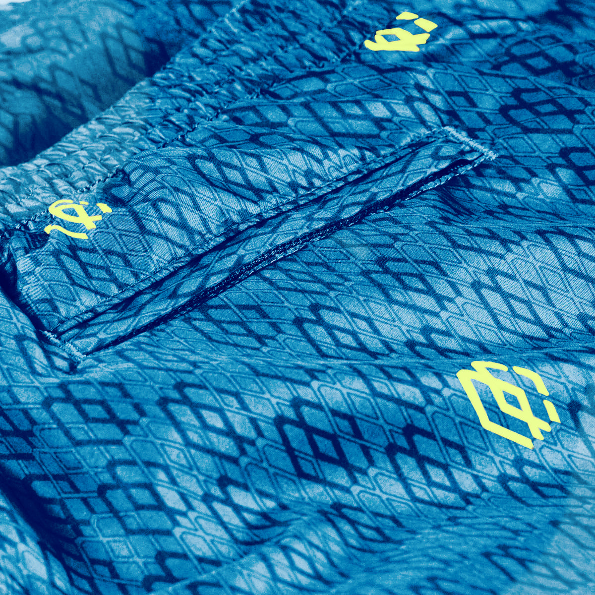 The Swimshorts