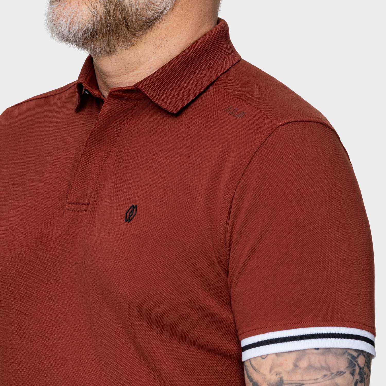 The Polo Classic Stripes